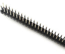 HEADER EN TIRA RECTO 2X40 2mm HEADER-2/2MM