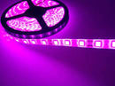 METRO DE LIRA DE LED 5050 COLOR ROSA 12V.          LTS-ROSA.