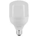 46225 LAMPARA LED DE ALTA POTENCIA 20W LUZ DE DIA 46225.                               LED-170.